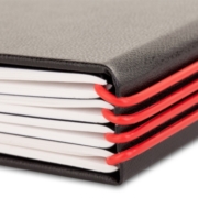 Elastix_Red_Detail1_96dpi_800x600