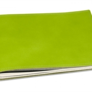 A5QUER_York_gruen_zu_800_DSCN4346