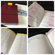 13650504_1395377863809387_1234538047_n