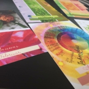 13689305_1398492363497937_1988448940_n